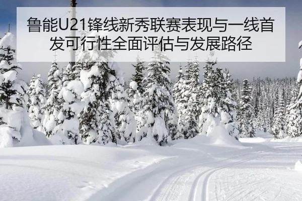 lu-neng-feng-xian-xin-xiu-lian-sai-biao-xian-yu-yi-xian-shou-fa-ke-xing-xing-quan-mian-ping-gu-yu-fa-zhan-lu-jing-2-400.jpg